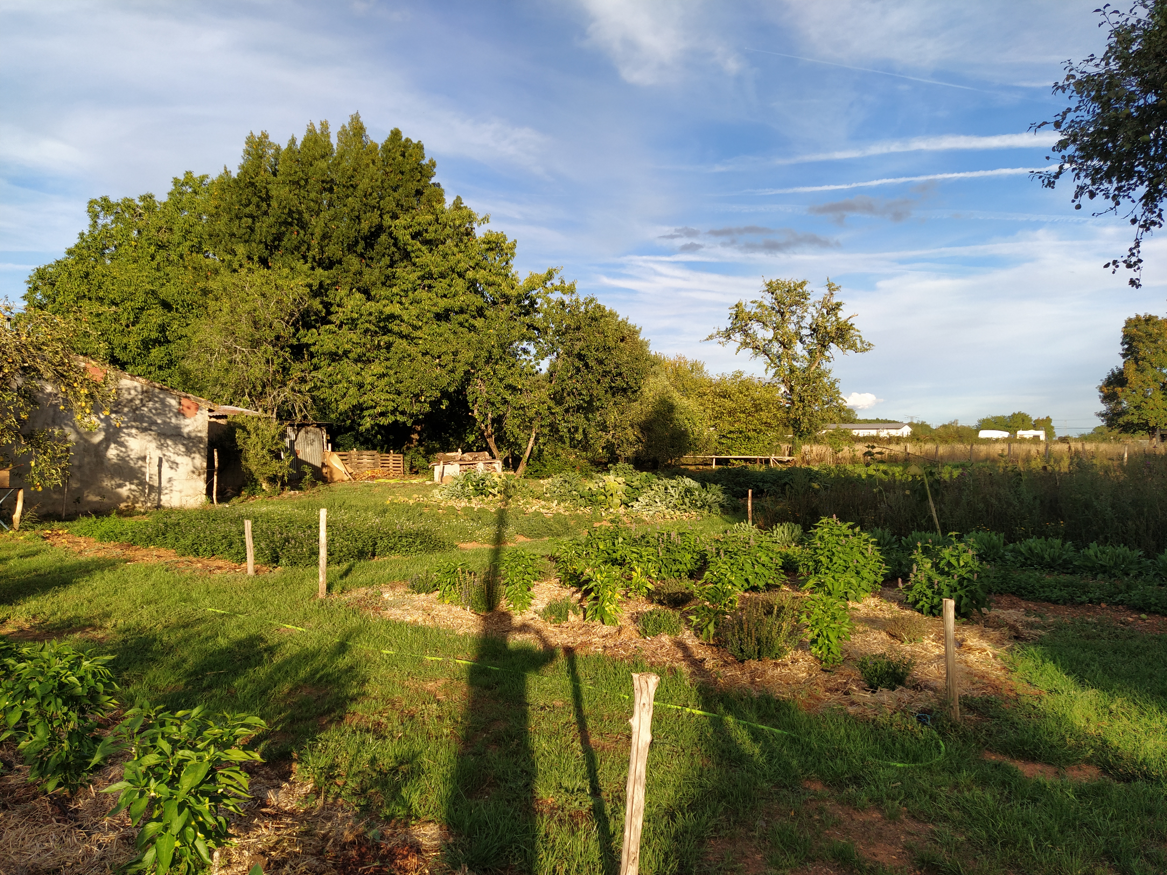 Le Jardin du Coin