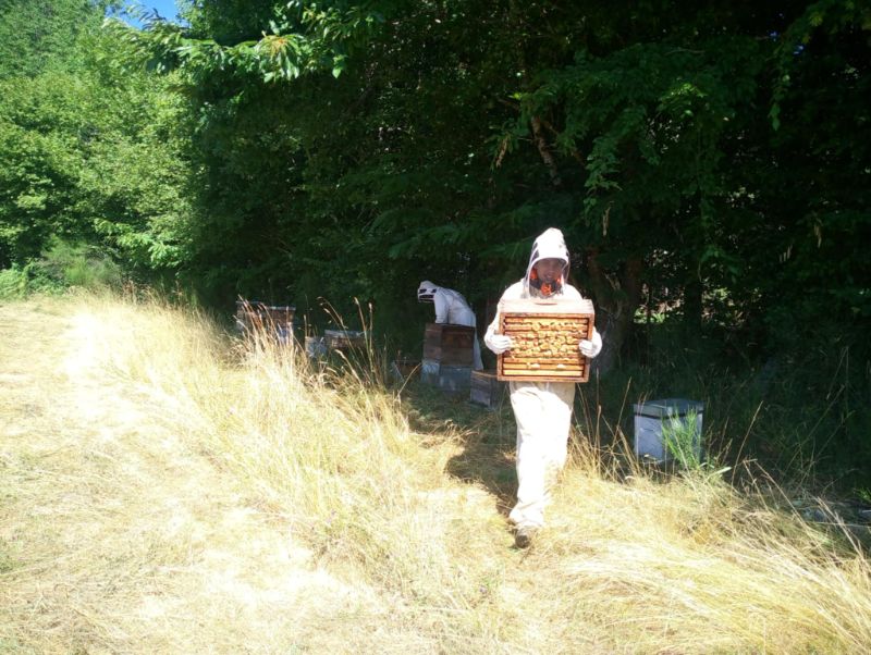 Photo de Visite à la ferme
