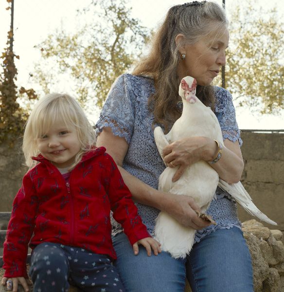 Photo de Visite de la ferme pédagogique