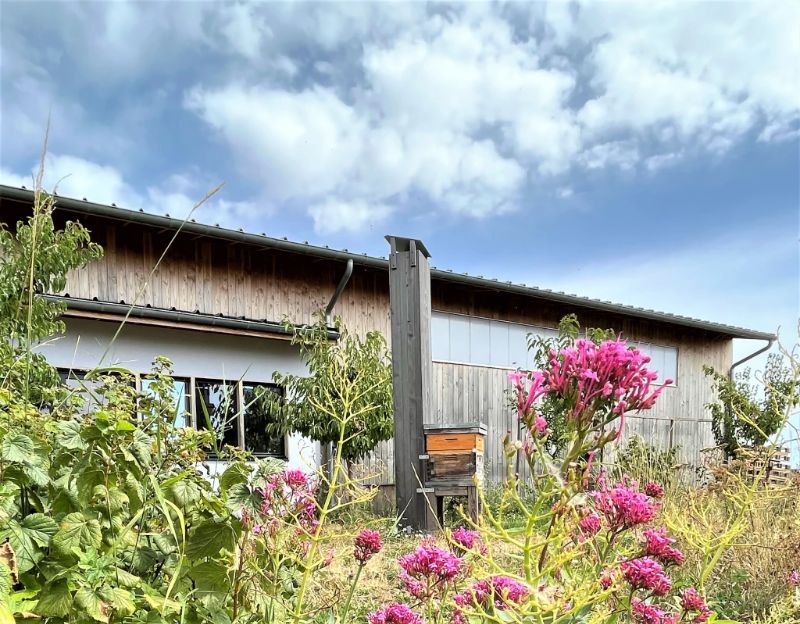 Photo de visite de la miellerie