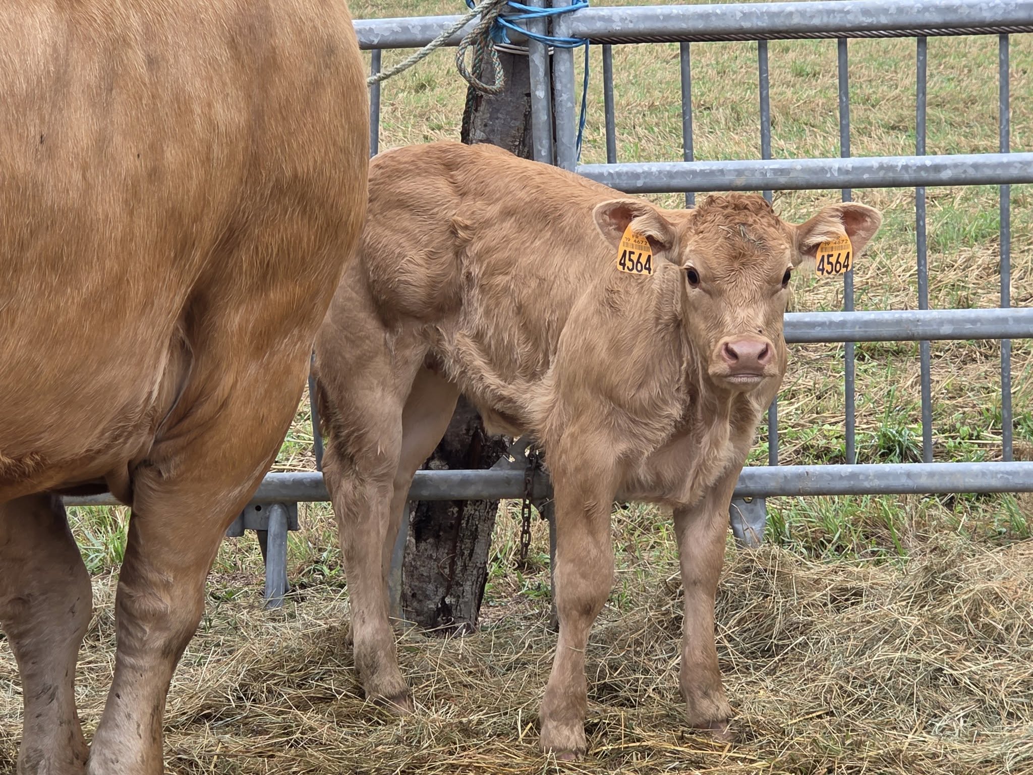 Photo de Ferme du Manus