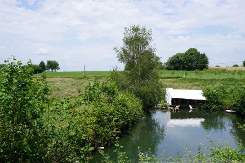 Photo de Visite de la ferme