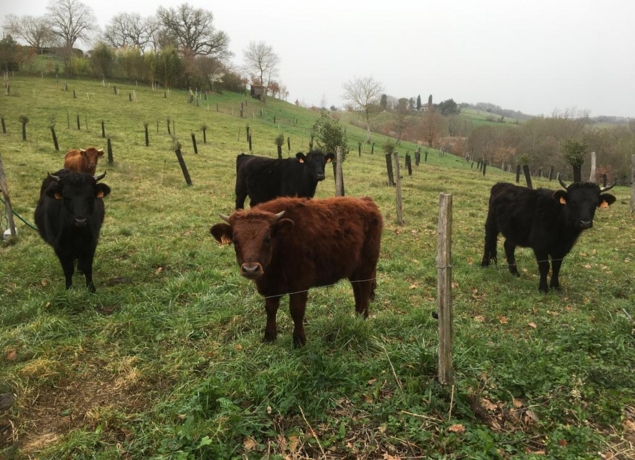 Photo de Ferme La Communion