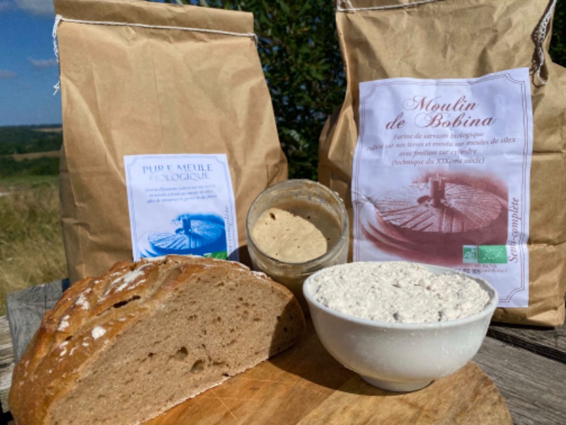 Photo de atelier sur le levain