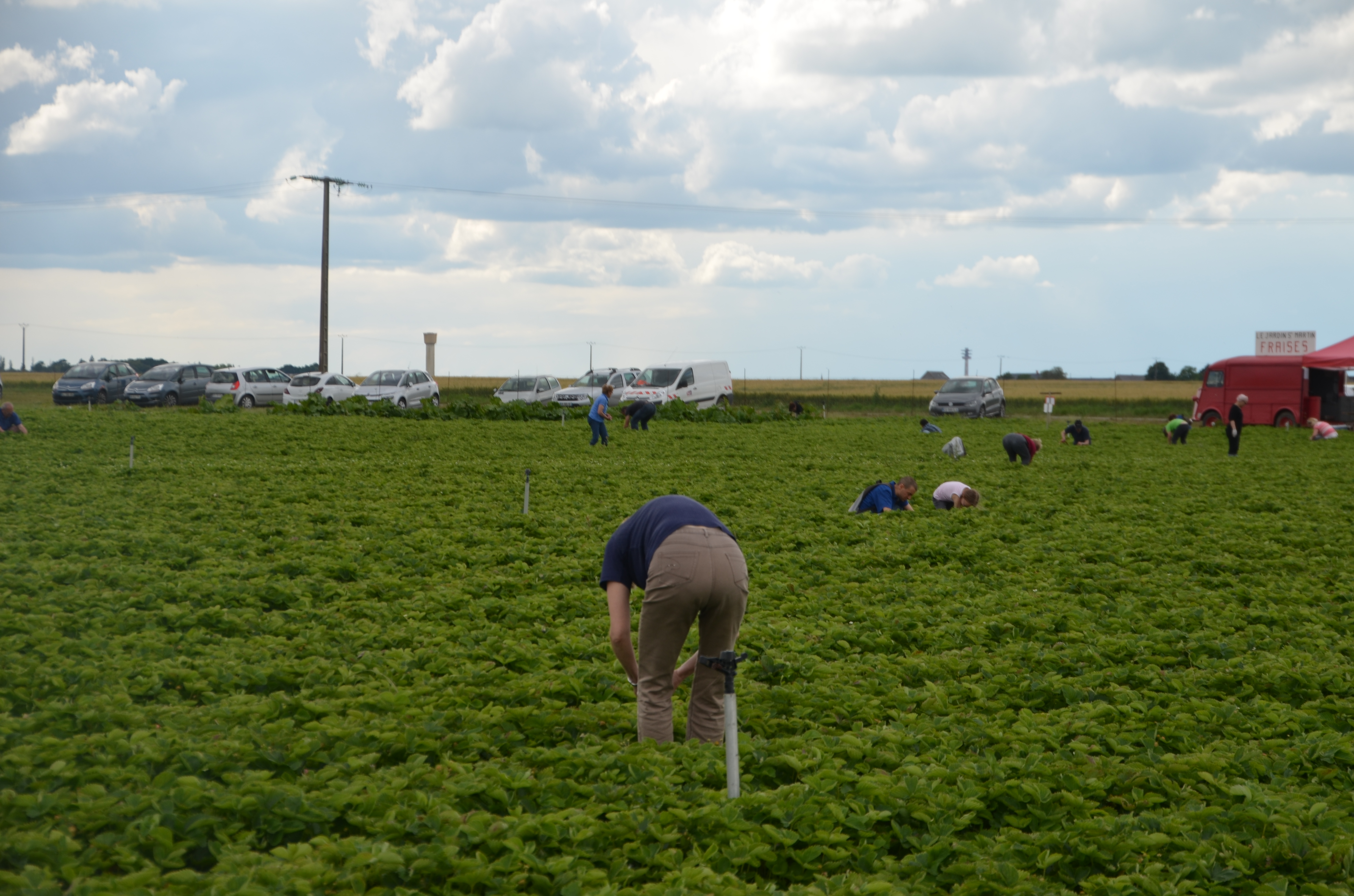 Photo de Jardin Saint Martin