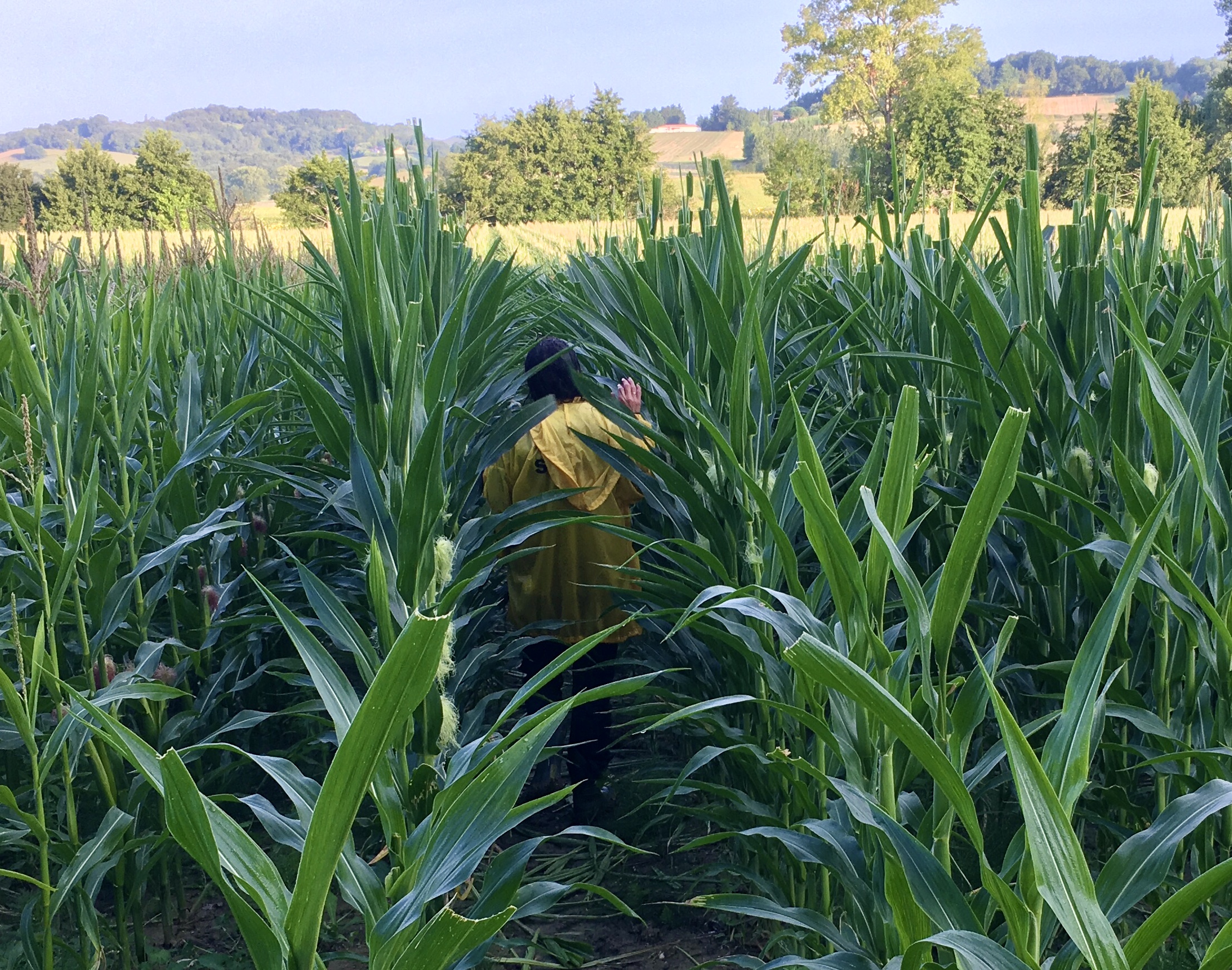 Photo de Visite de la ferme des Acacias