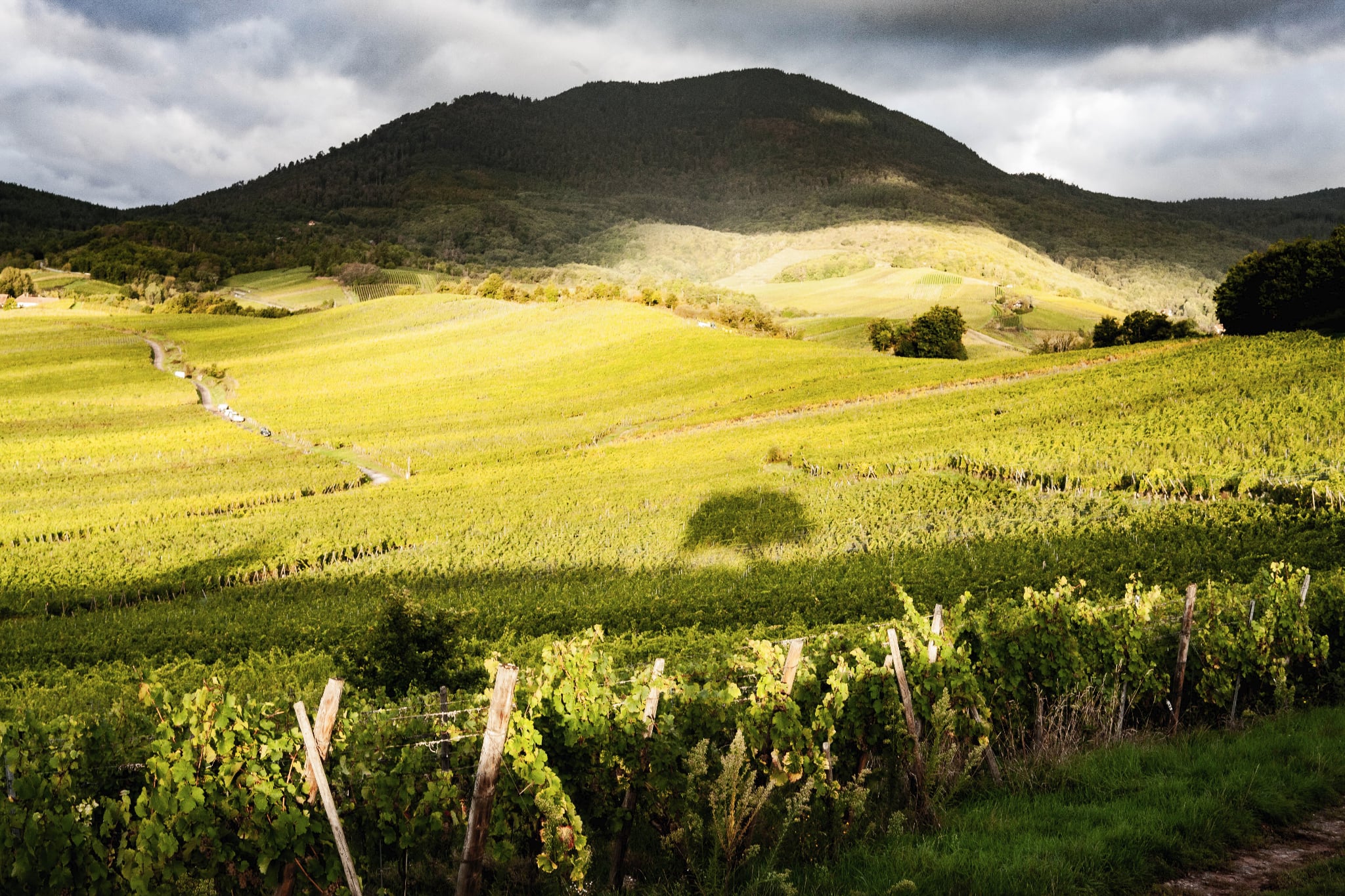 Photo de Domaine Exeterra 