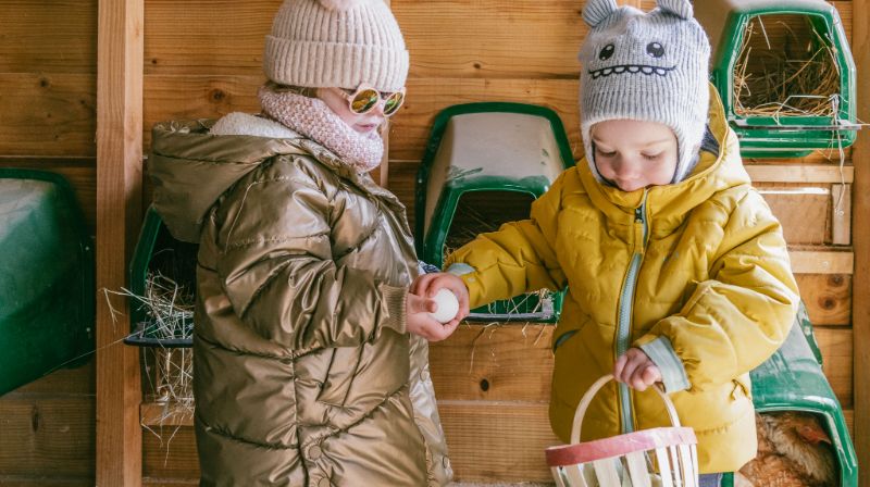 Photo de Visite ferme pédagogique