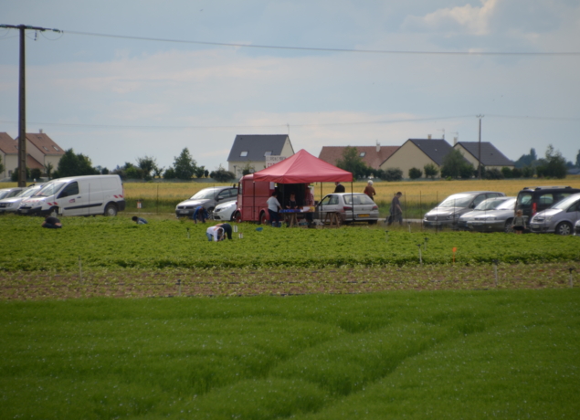 Photo de Jardin Saint Martin