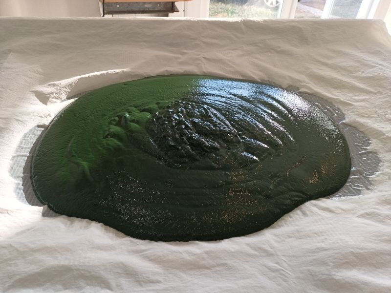 Photo de Visite de l'exploitation