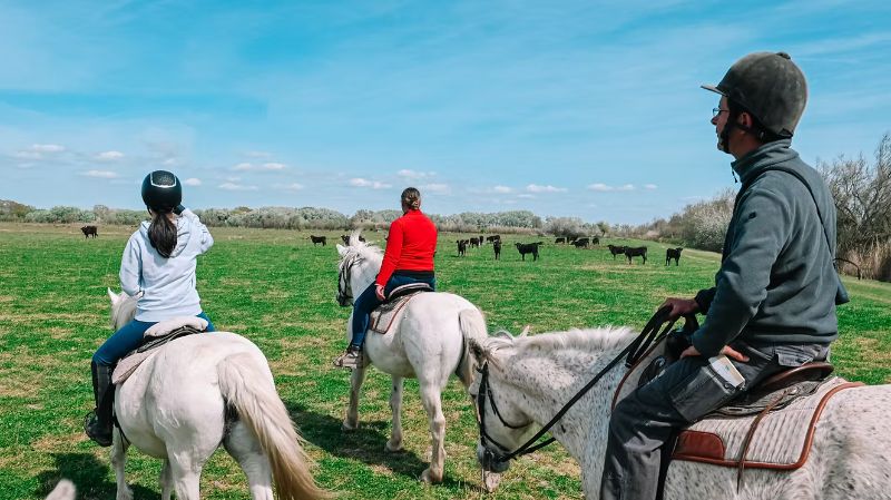 Photo de Balade à cheval