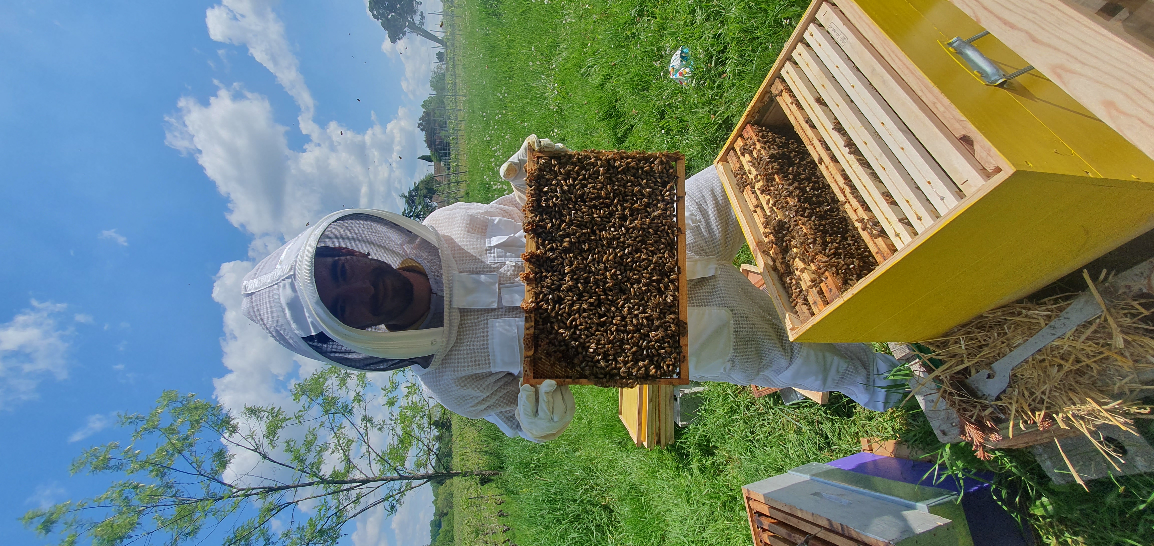 Photo de Découverte du monde des abeilles