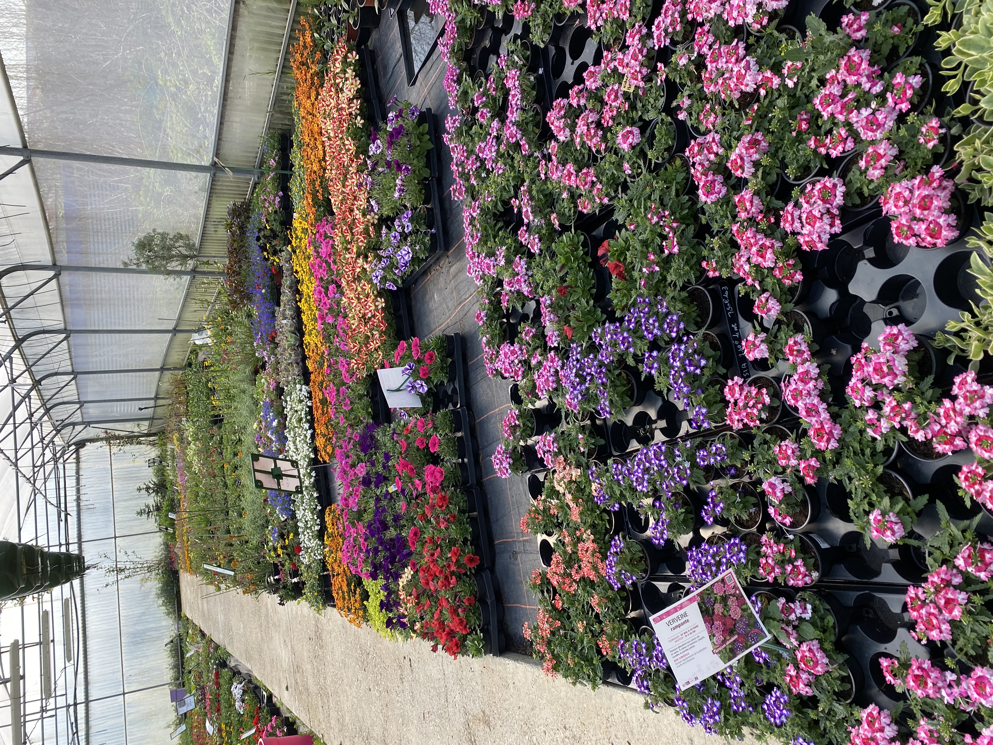 Photo de HORTIPASSION 