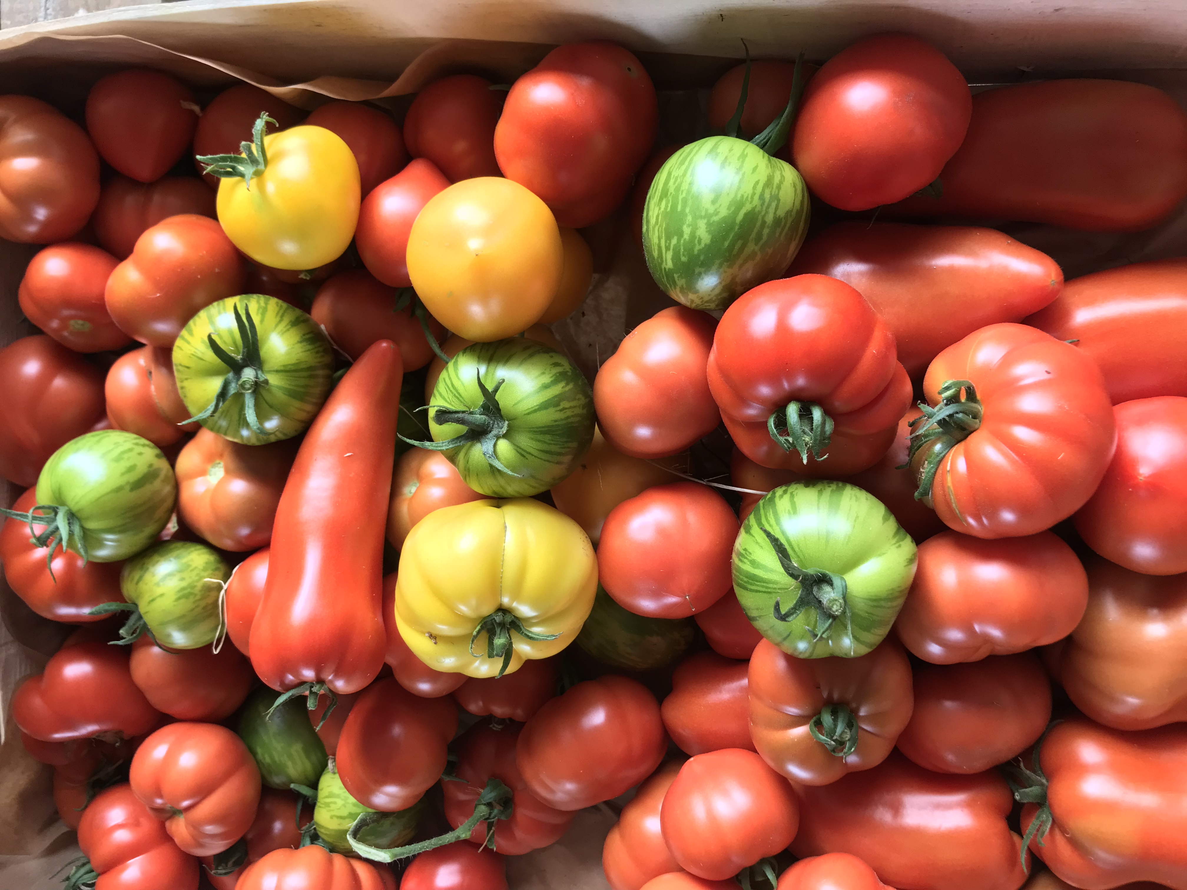 Photo de EARL LA COLLINE AUX FRUITS - Alvina Nauche et Thierry Bouillaguet