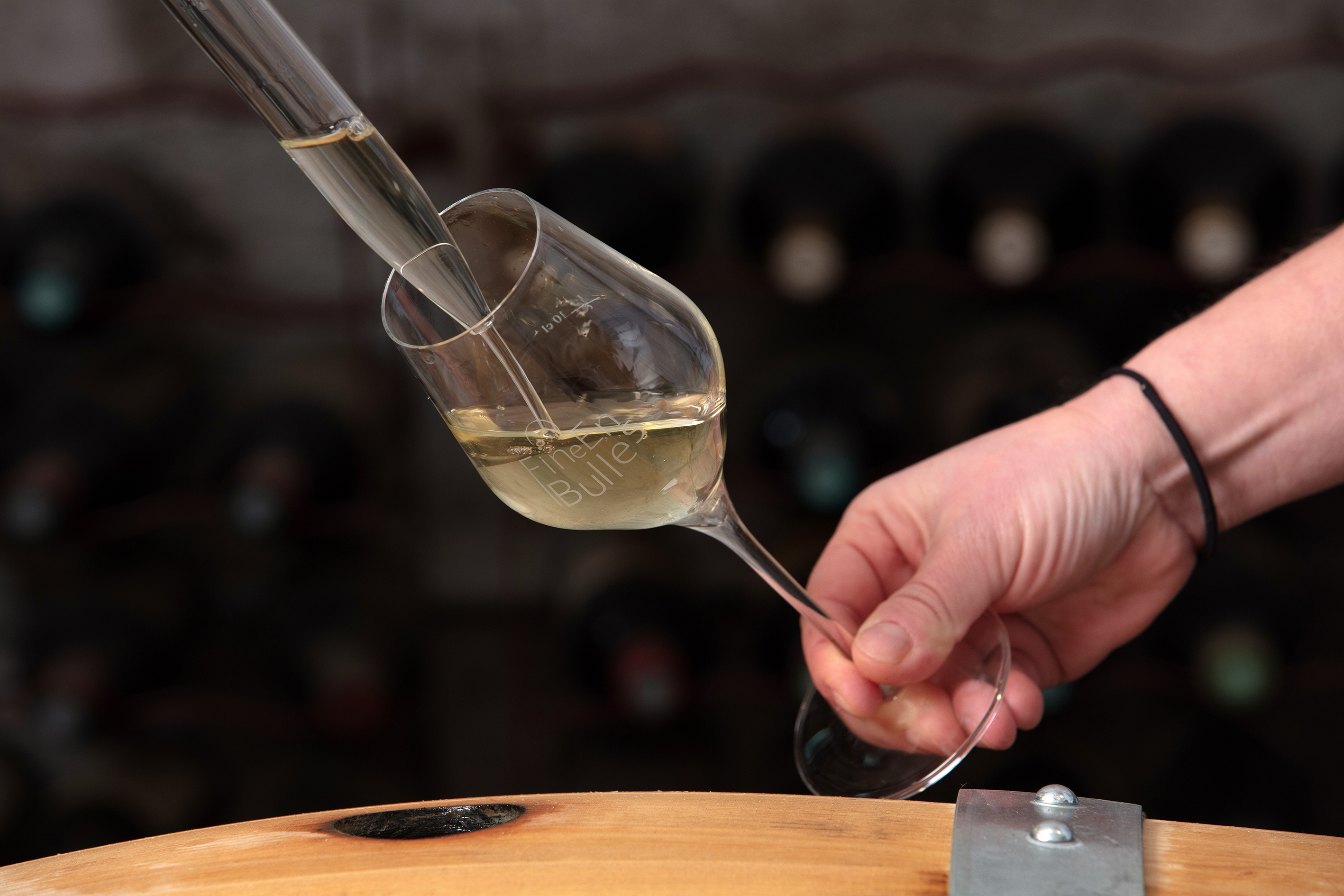 Photo de Visite et dégustation avec un vigneron