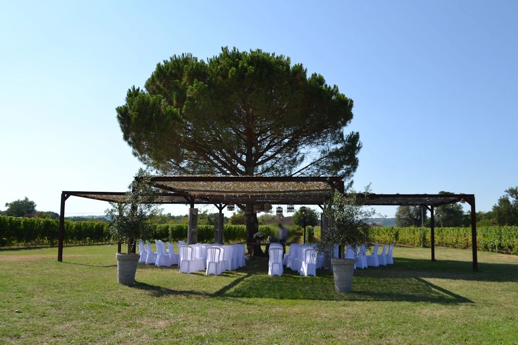 Photo de VIGNOBLES ROMAIN