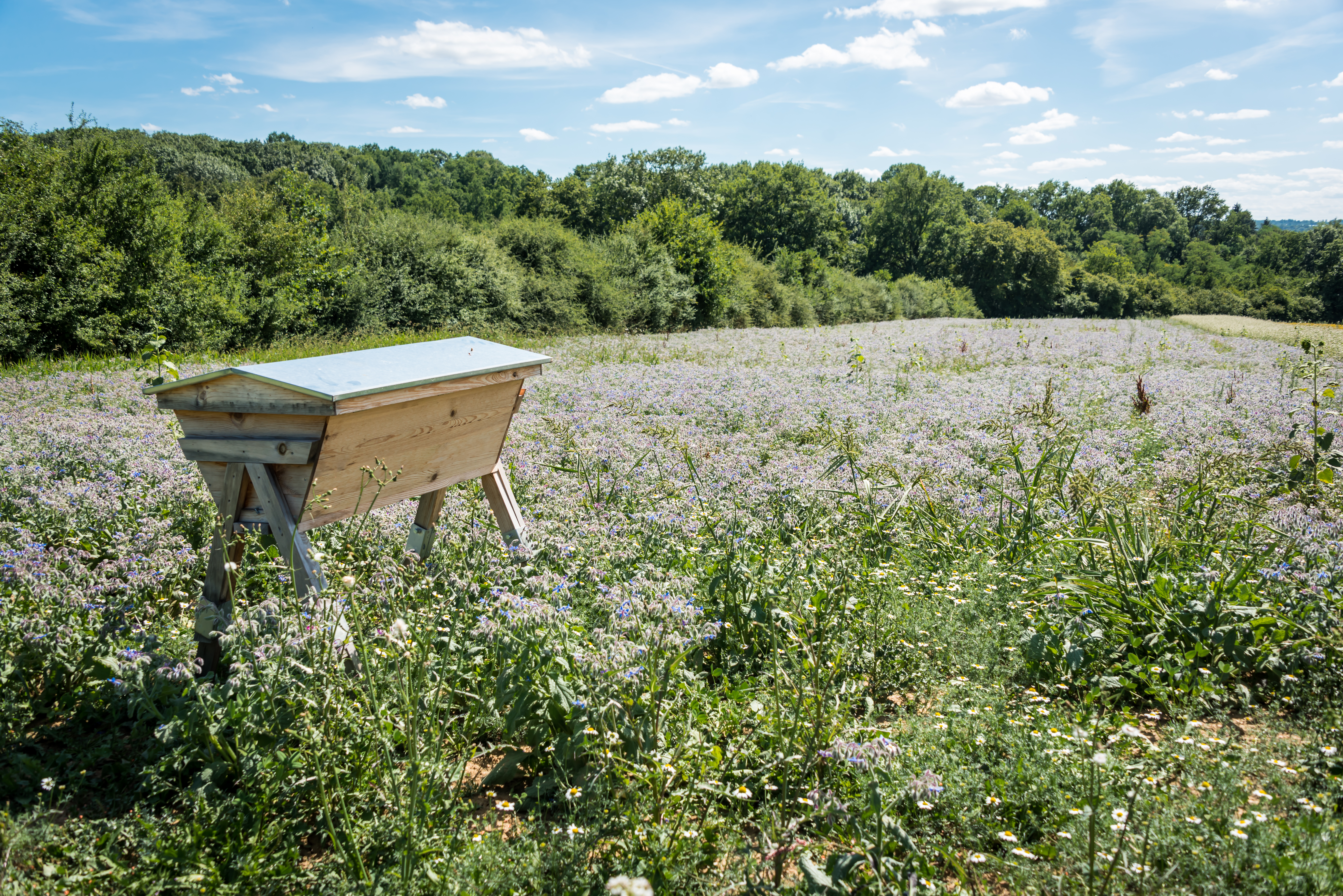 Photo de LA FERME DE FARDISSOU