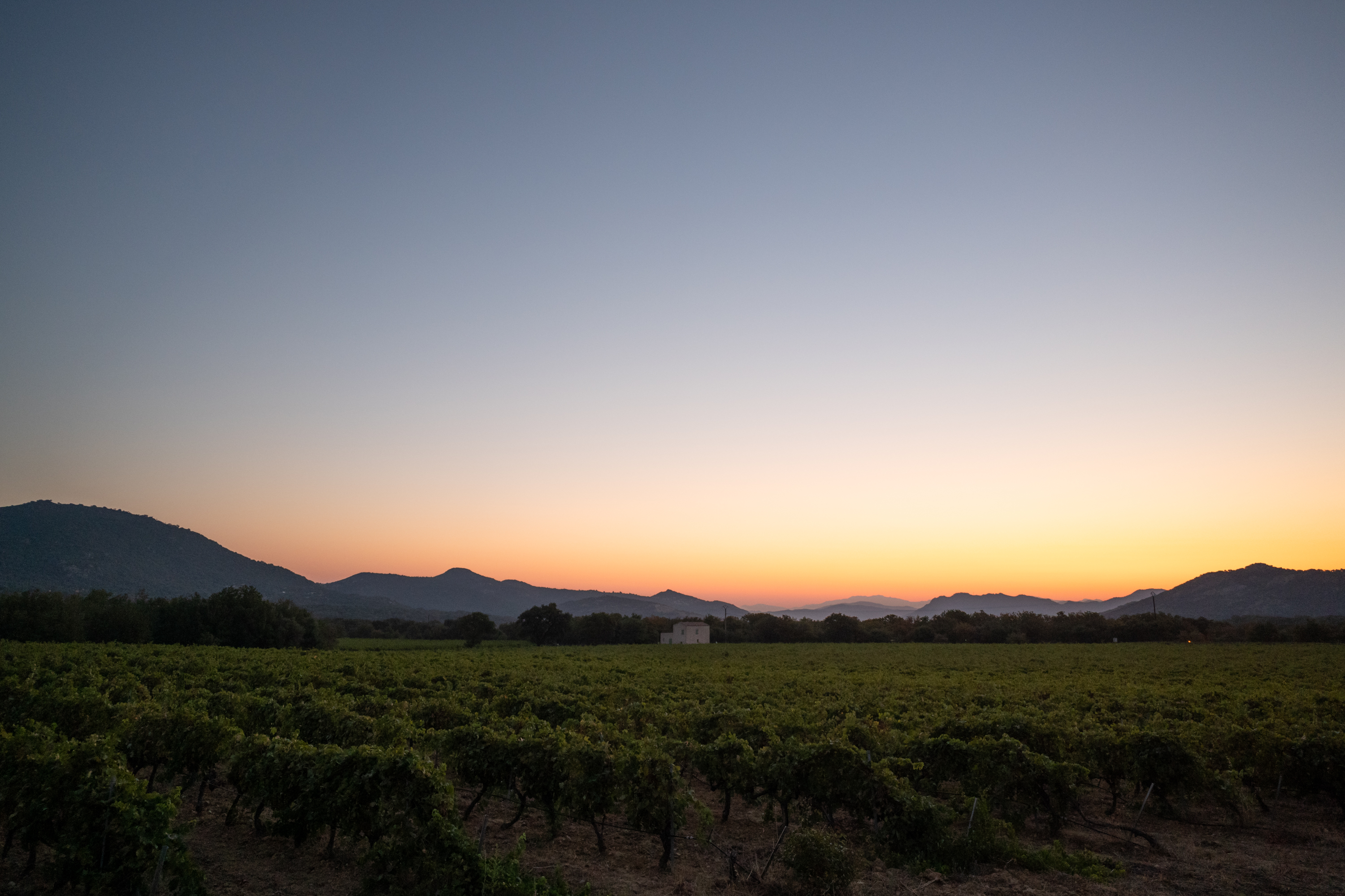 Photo de Domaine MAESTRACCI