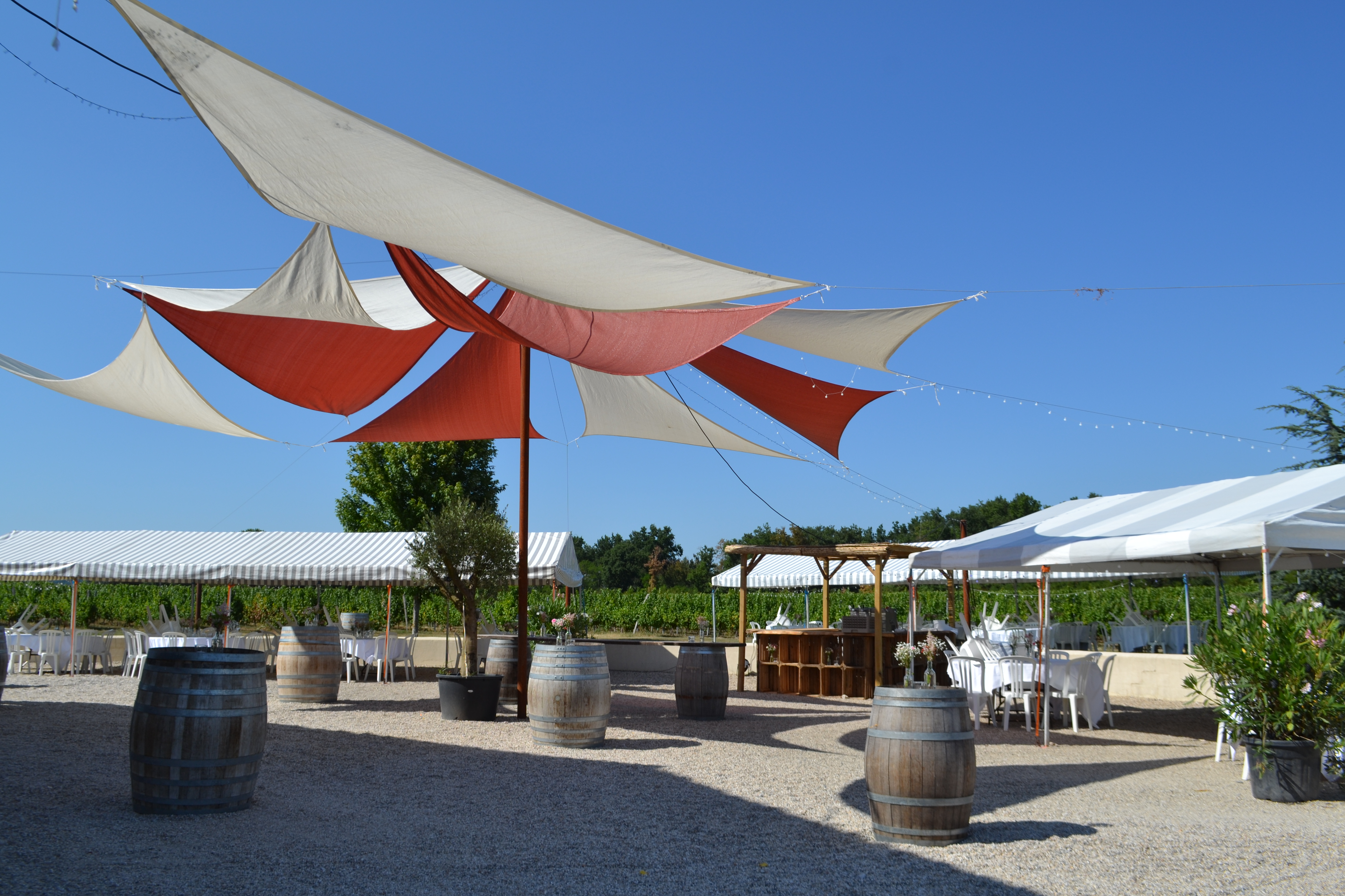 Photo de VIGNOBLES ROMAIN