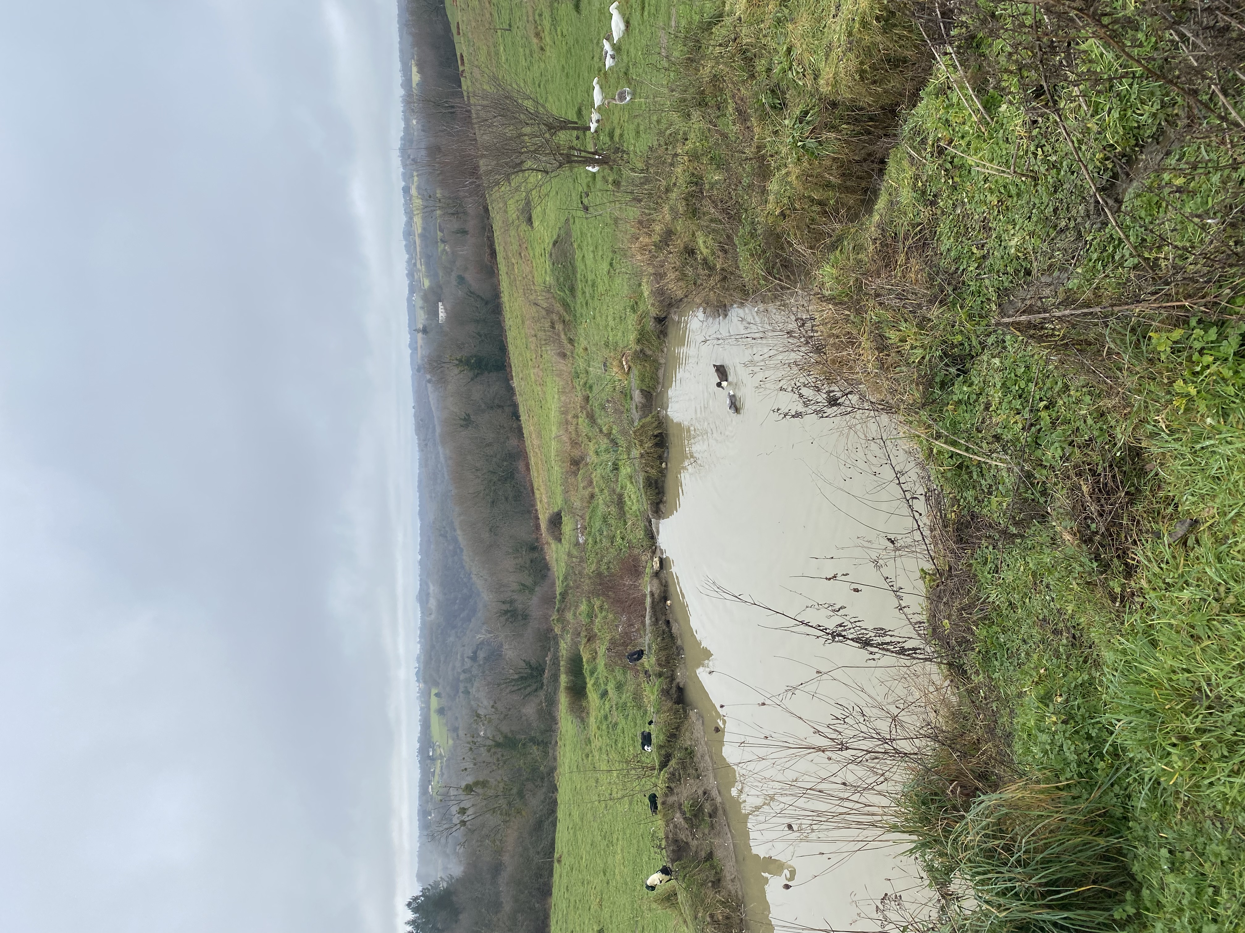Photo de ferme sinsac