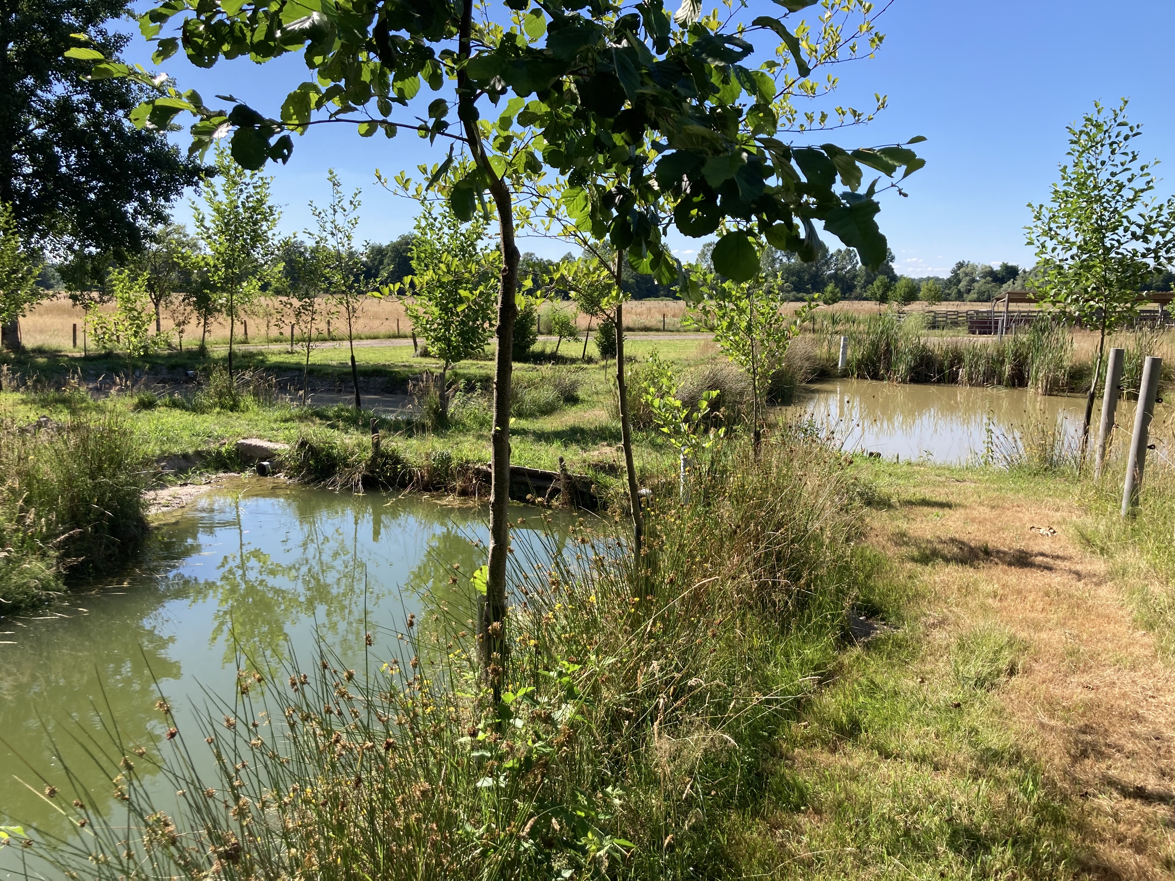 Photo de Visite pédagogique d'une ferme en lien avec son terroir, l'EARL du pont blanc