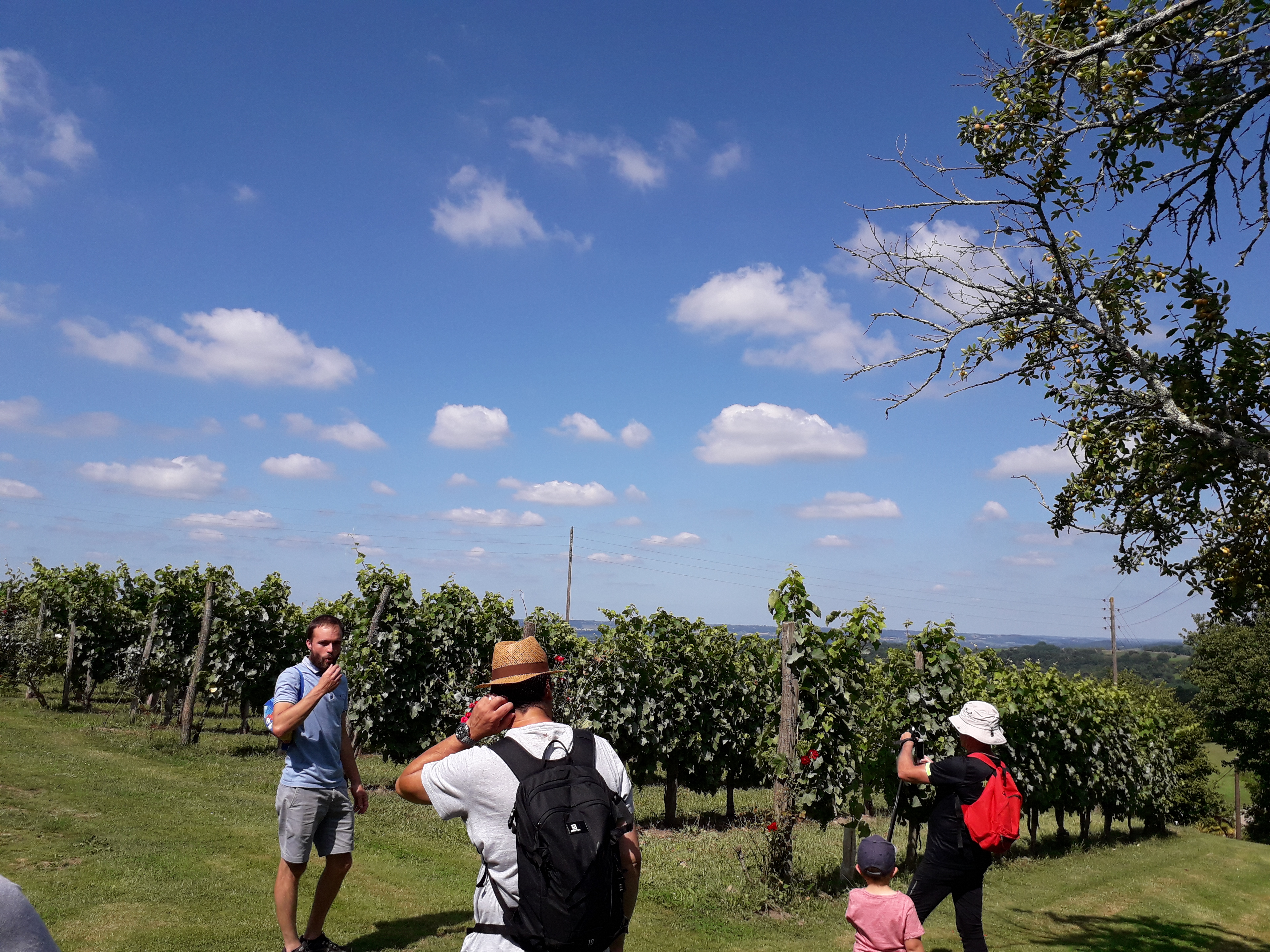 Photo de Balades vigneronnes au Domaine Larroudé en AOC Jurançon