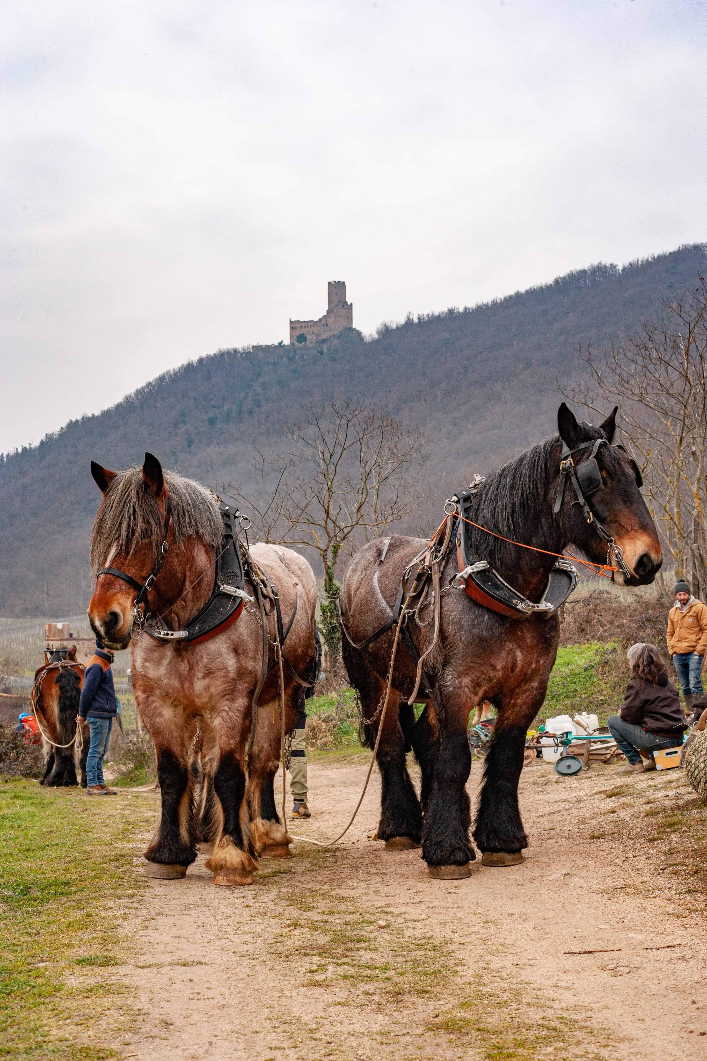 Photo de Domaine Exeterra 