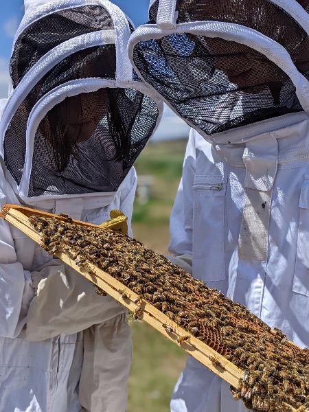 Photo de Baptême d’apiculture - Adultes