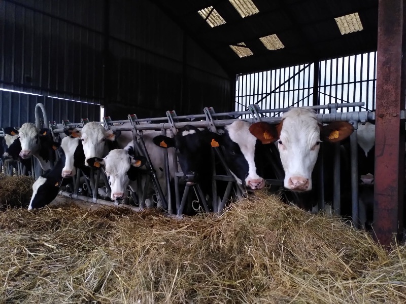 Photo de Visite de la ferme