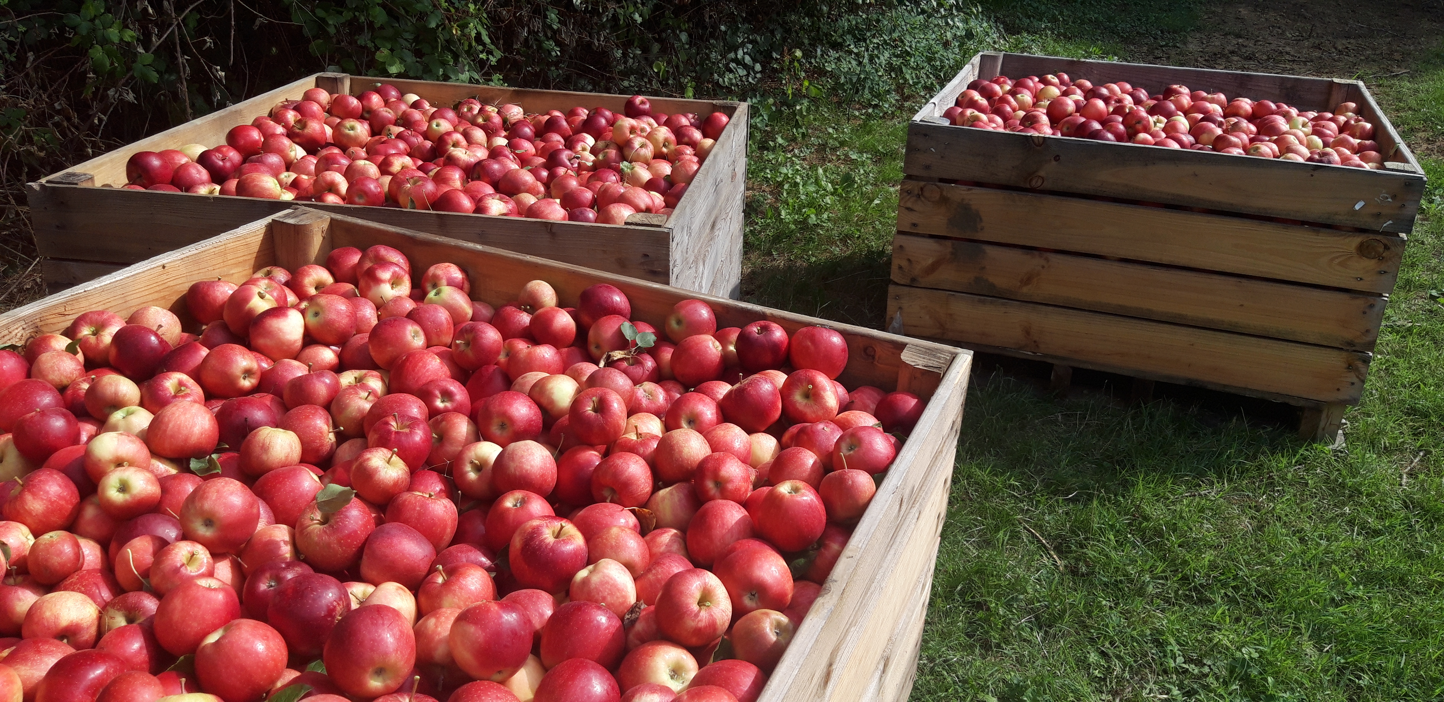 Photo de Verger de Foncoussières