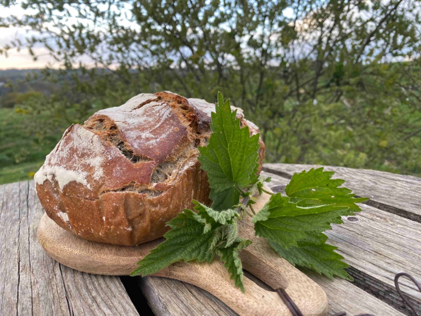 Pain de printemps à l'ail des ours et aux orties (pain de 1kg)
