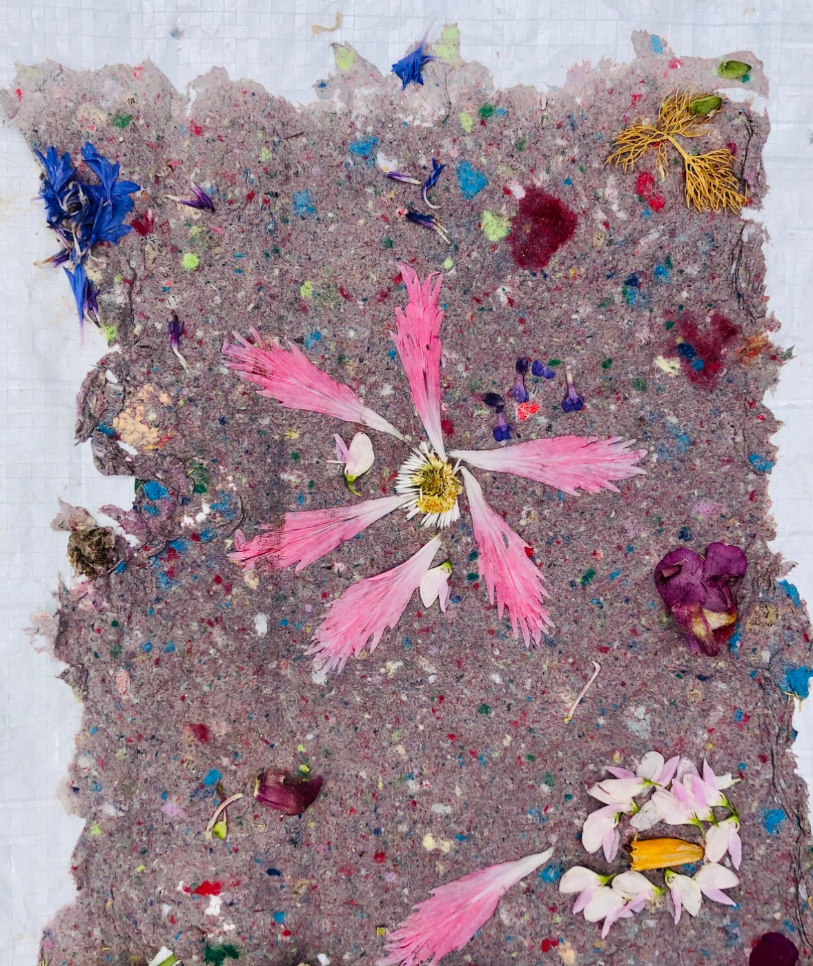 Photo de Atelier papier artisanal