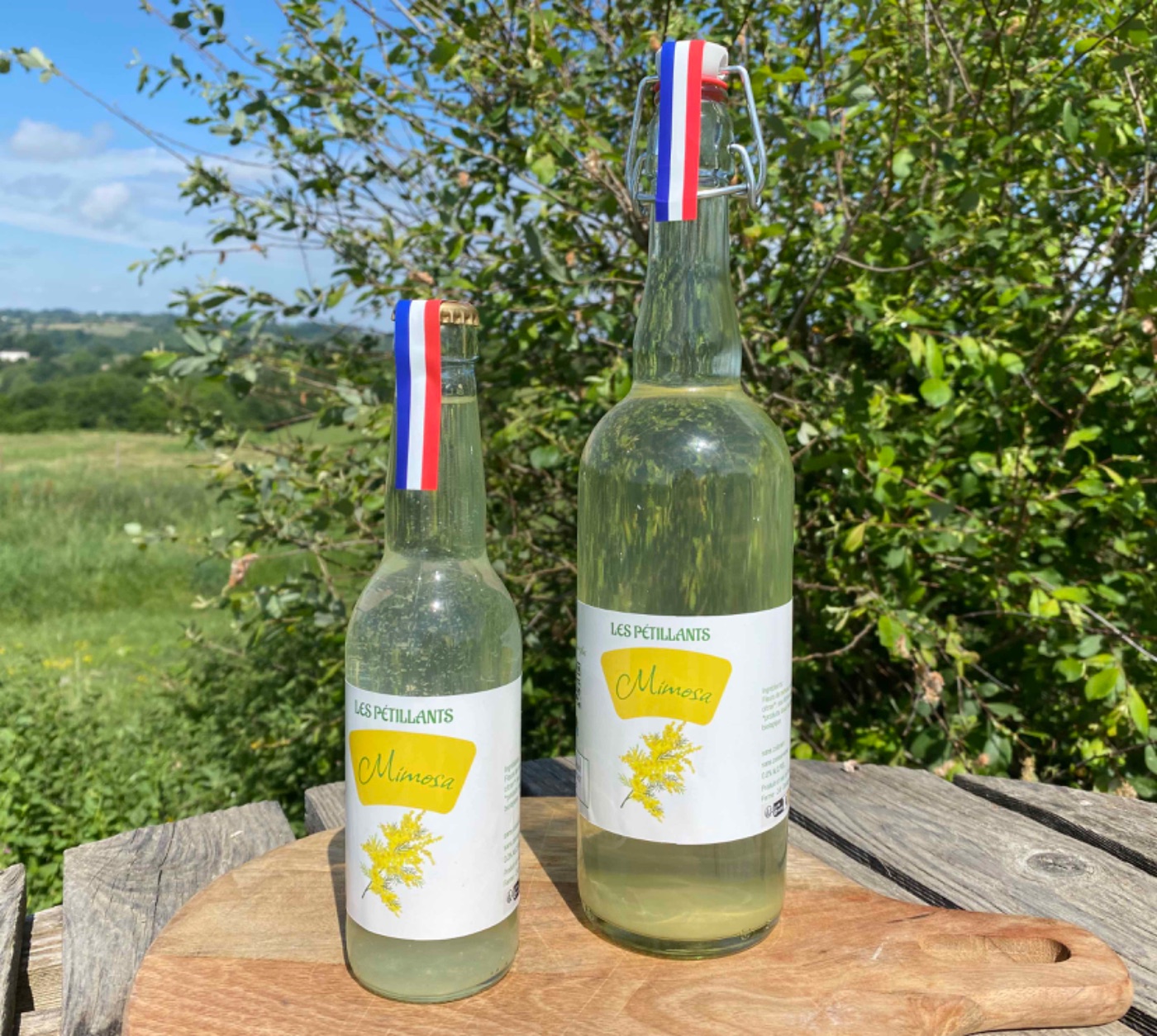 Petillant de mimosa 75 cl