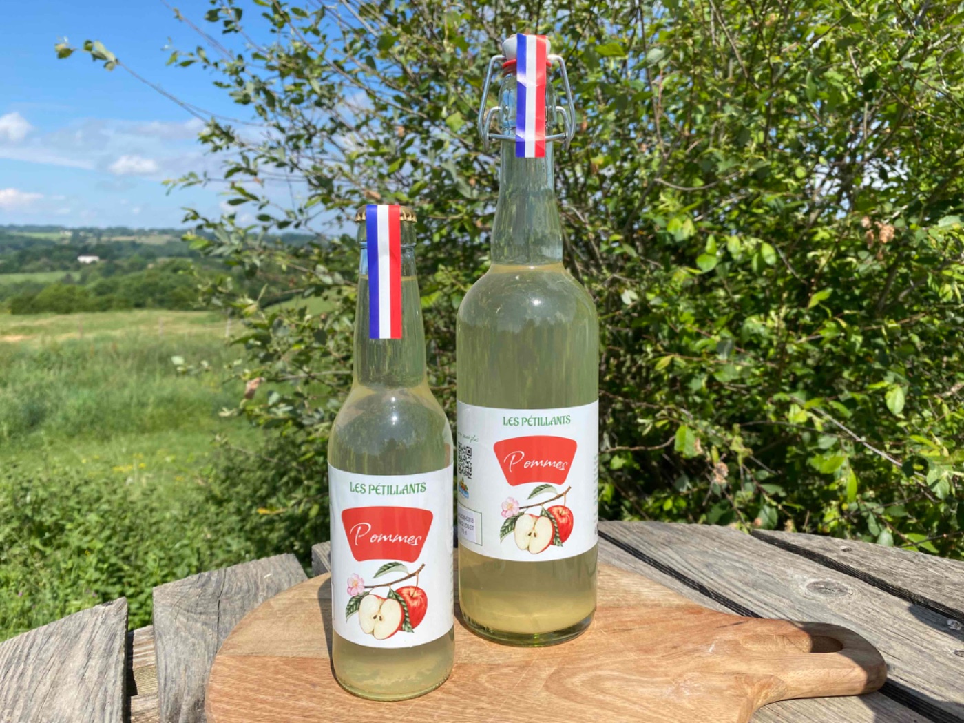 boisson pétillante aux pommes 12 x 33cl