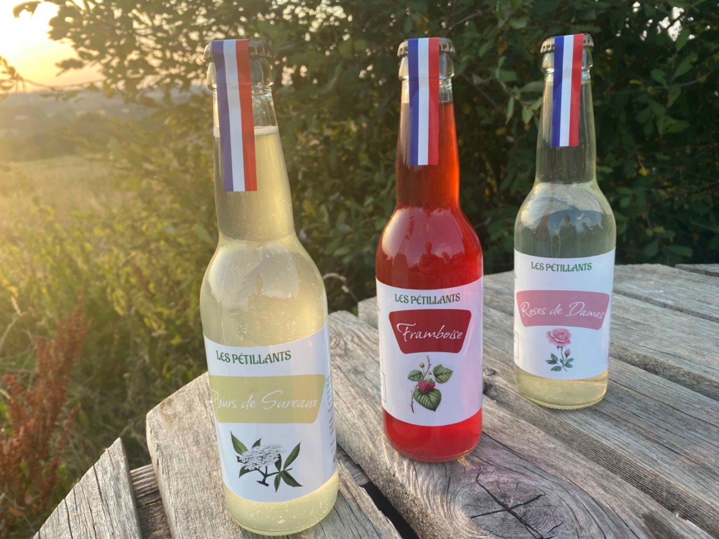 pack découverte boissons sans alcool 12 x 33 cl